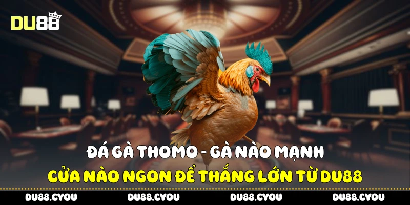 Đá gà Thomo