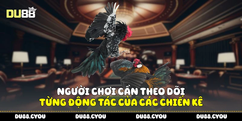 Người chơi cần theo dõi từng động tác của các chiến kê